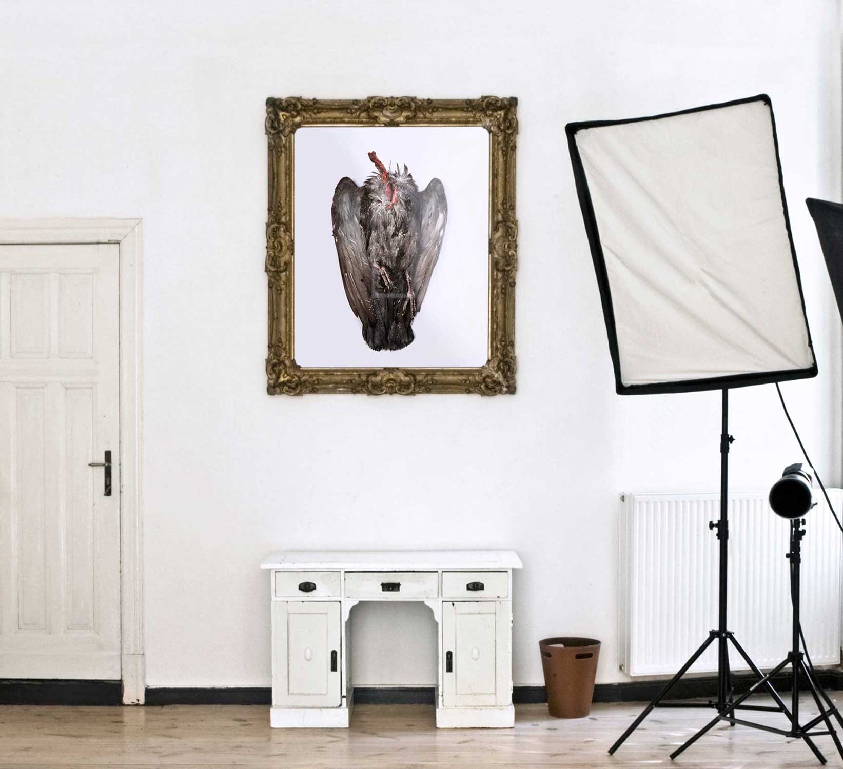 Studio Designer Caterina Rancho