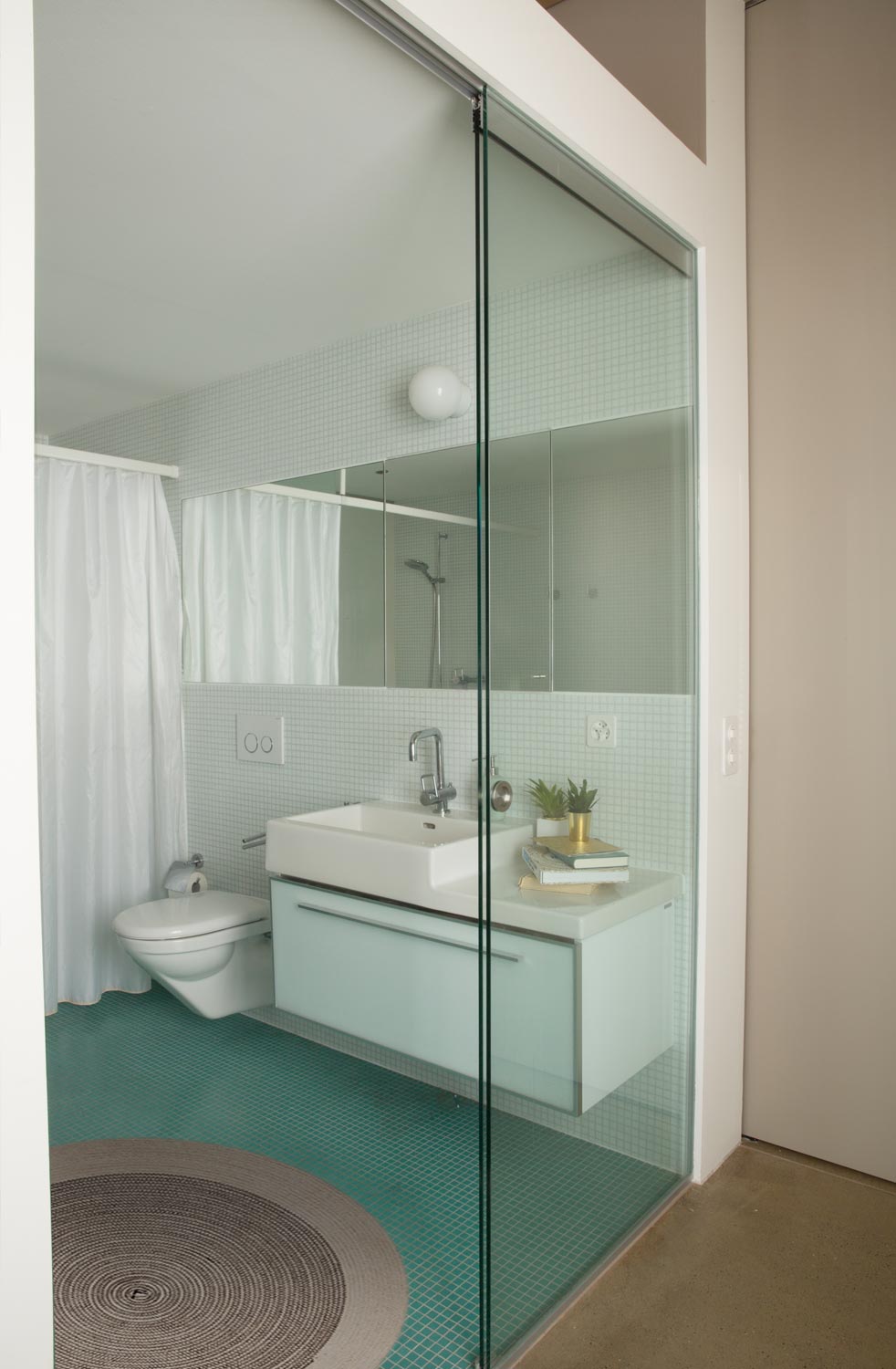Loft, Wohnung, Interior, Bad, Badezimmer, Teppich, Interieur, Klo, Waschbecken, Glastür, Toilette