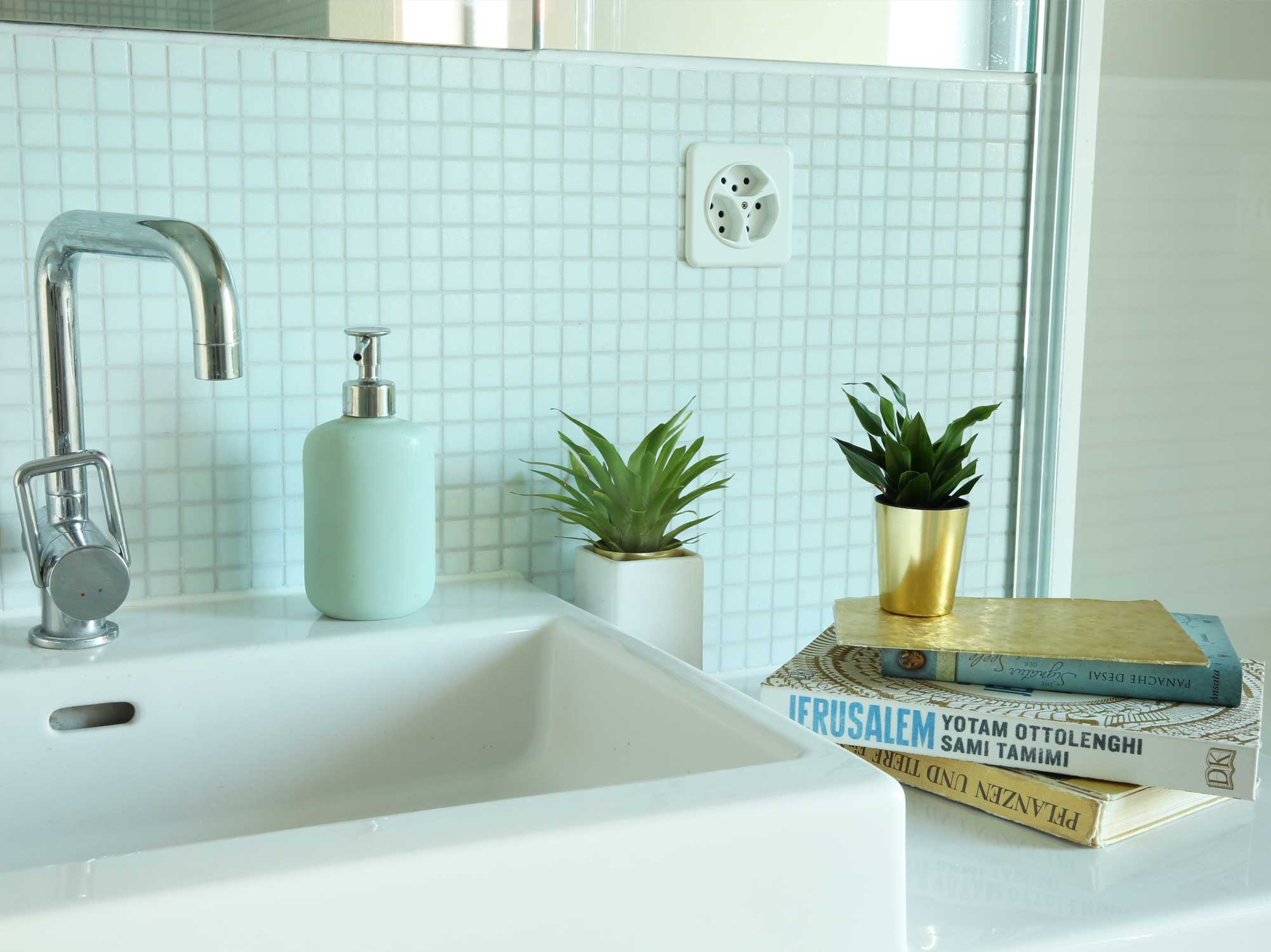 Loft, Wohnung, Interior, Bad, Badezimmer, Interieur, Waschbecken, Glastür, Toilette, Seife, Bücher, Sukkulenten